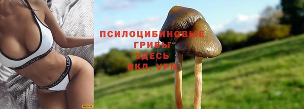 mdpv Алзамай