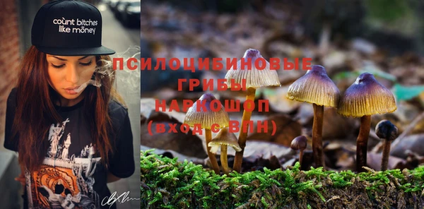 ALPHA PVP Армянск